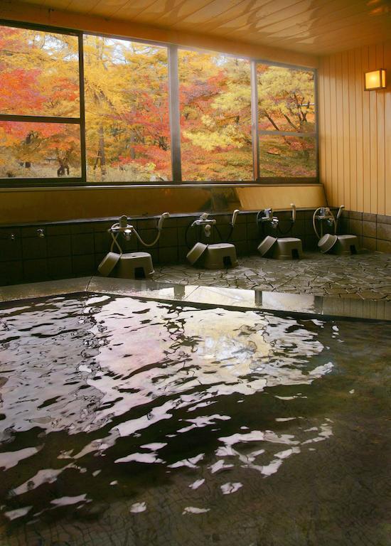 Ichikawa Bekkan Seikanso Shibukawa Экстерьер фото